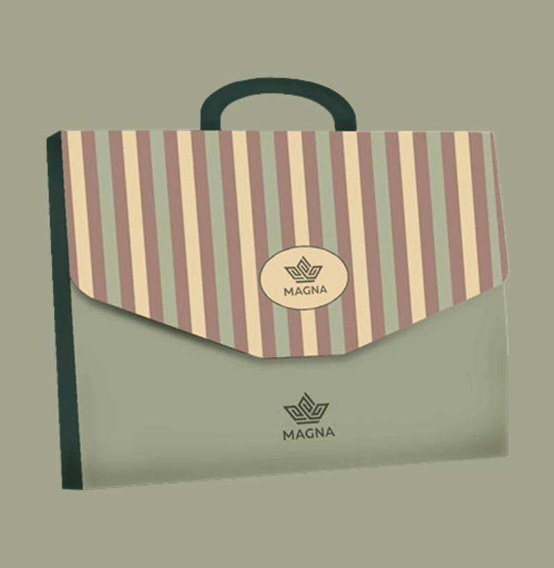 Luxury Briefcase Box