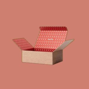 Custom Corrugated Cardboard Reverse Tuck Boxes