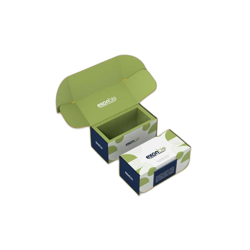Ecommerce Shipping Box