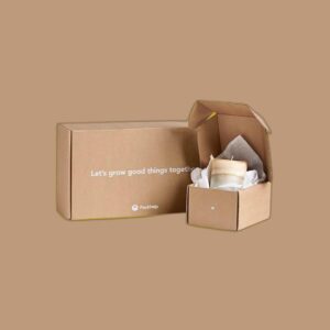 Eco Friendly Mailer Boxes