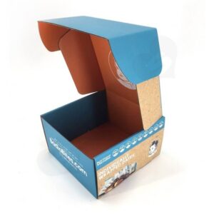 Snack Mailer Box