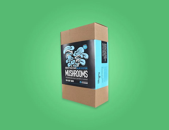 custom-mushroom-packaging-box.jpg