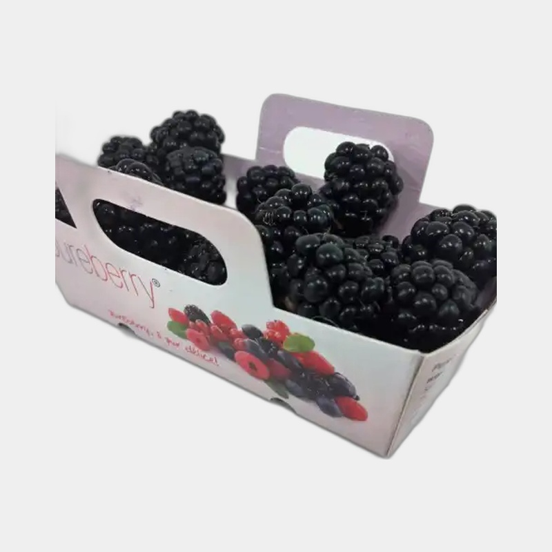 Blackberry Fruit Packaging