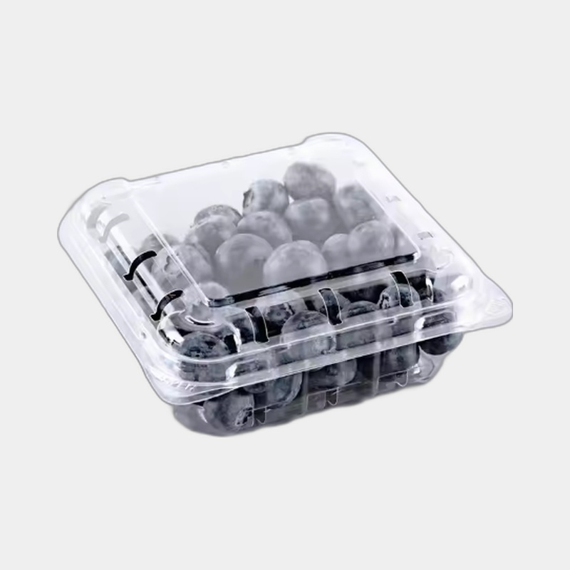 Blueberry Clamshell Packaging
