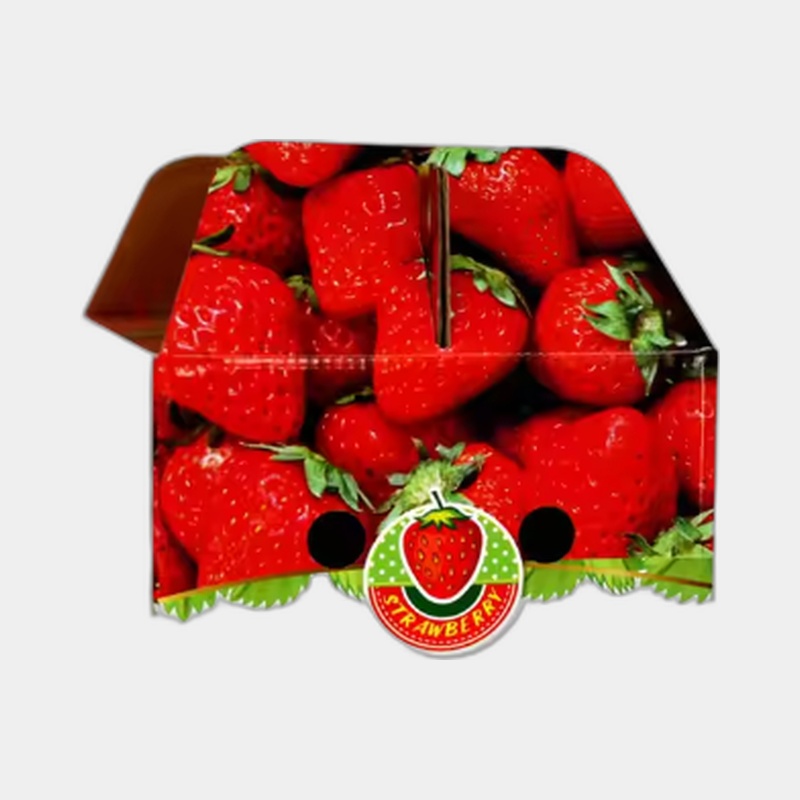 Strawberry Packaging